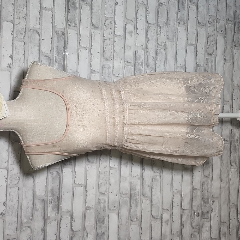 Lily White Pale Pink Lace Sheer Fairycore Tunic Top